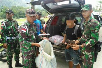 TNI amankan ratusan vanili ilegal di perbatasan RI-PNG