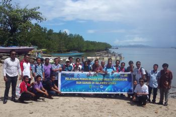 Tujuh kepala Desa Berau belajar ekowisata bahari di Bahowo