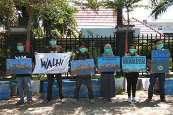 Walhi : Vale diduga cemari danau Maloha Lutim