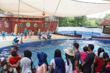 Pengunjung Dolphin Center Batang naik 40 persen