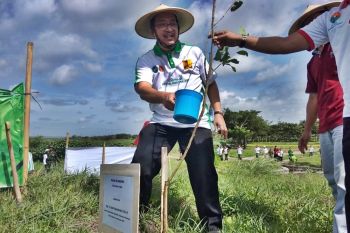 Jaga resapan air, kawasan Waduk Cengklik ditanami pohon
