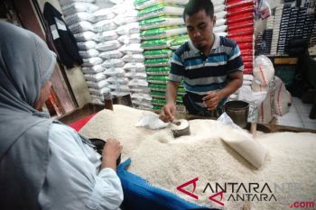 NTB miliki stok beras hingga 14,5 bulan