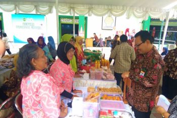 UPPKS dan Gandeng Gendong di Yogyakarta diharapkan saling dukung