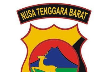Polisi: gangguan kamtibmas di NTB jelang pilpres menurun