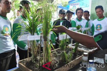 Pasar teknologi pertanian edukasi petani Parigi Moutong