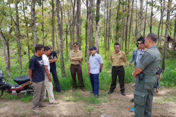 Pegunungan Patiayam Kudus segera dihijaukan