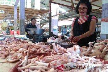 Harga ayam potong di Palangka Raya naik