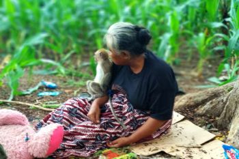 Warga Bersaksi Tak Ada Dentuman Anak Krakatau Saat Tsunami
