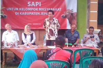 Peternak sapi potong Jepara diminta berinovasi