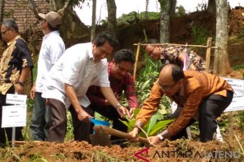 Jepara segera miliki kebun raya