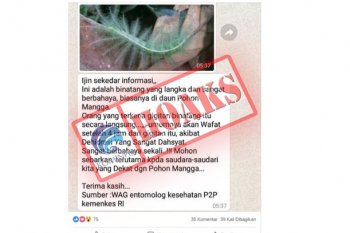 Addressing challenges of fake news for Indonesia`s fair elections