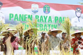Survei 2018, RTUP Pengguna Lahan dan RTP Gurem Meningkat