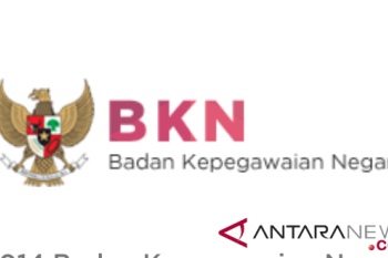 Cek Sekarang! Hasil Seleksi PPPK 2024 Tahap 2 Mulai Diumumkan di sscasn.bkn.go.id