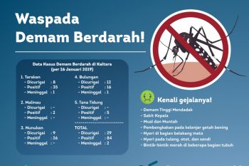 Waspada Penyebaran DBD di Kaltara