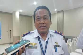 Penerbangan perintis ke pedalaman Papua diharapkan terealisasi Februari