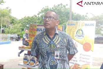 Bulog NTT pasarkan beras kemasan kecil secara masif