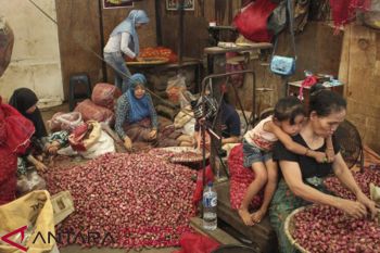 Minat Petani Bojonegoro Tanam Bawang Merah Meningkat
