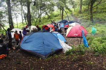 Berkemah Di Hutan Lawu