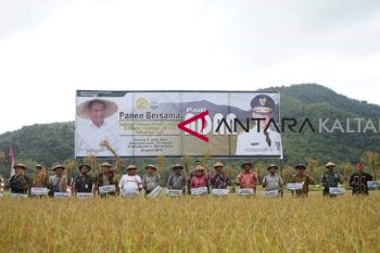 Penambahan 100 hektar lahan persawahan di Krayan menggunakan dana desa