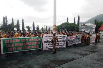 Tujuh kabupaten/kota di Papua belum bayarkan ULP-TPP guru