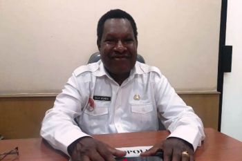 Disdik Papua gencar gelar pelatihan peningkatan kualitas guru