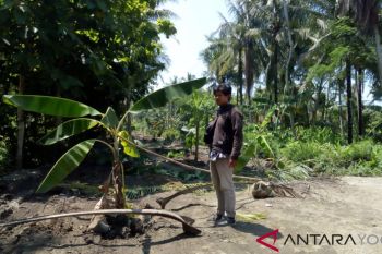 Kulon Progo panggil penambang perusak jalan kabupaten