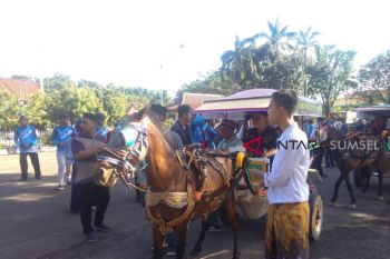 Keliling Kambang Iwak dengan delman cukup dengan 10 ribu