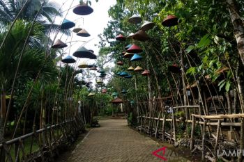Camp 91 Tawarkan Pesona Alam