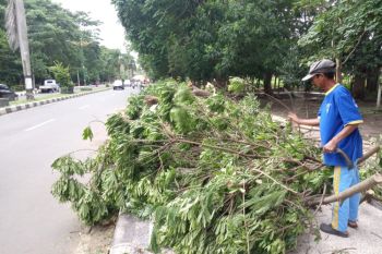 Rumah makan "instagramable" pun lagi "in" di Lampung