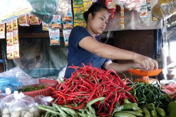 Harga kebutuhan pokok Pekanbaru mulai turun pascalibur tahun baru