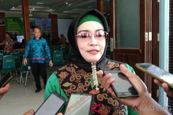 Palangka Raya fokus pembangunan infrastruktur jalan