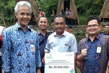 PLN dorong budidaya lalat tentara hitam untuk pakan ikan dan unggas