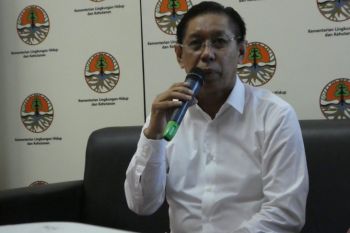 KLHK jatuhkan 48 sanksi kepada Freeport