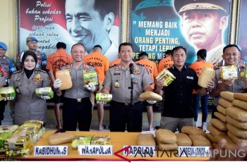 Polda Lampung Gagalkan Pengiriman 295 Kg Ganja
