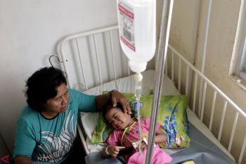 Artikel - Mencegah meningkatnya korban DBD di NTT