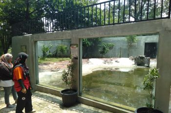 TSTJ terus berbenah menuju kebun binatang Tipe A