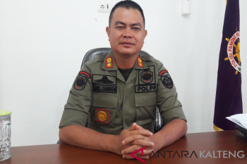 Satpol PP Kalteng di tahun 2019 tegakkan semua Perda PAD