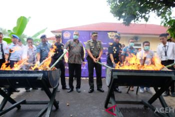 Bea cukai musnahkan barang hasil penindakan di Sabang