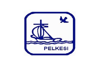 Pelkesi tingkatkan pengetahuan kader posyandu-kesehatan Sigi tentang ASI