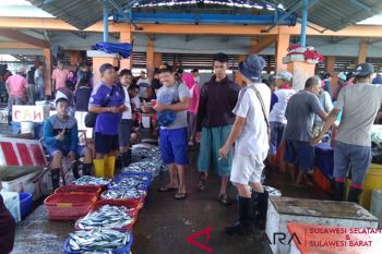 Harga ikan di TPI Paotere kembali normal