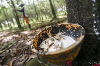 Karet untuk campuran aspal