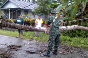 Yonif 126/KC bersihkan pohon tumbang di ruas jalan Sawitami Keerom
