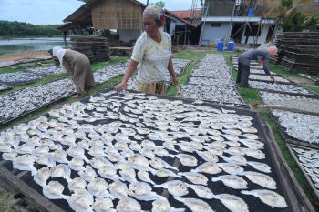 Produksi Ikan Kering Turun