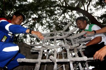 Program Rehabilitasi Terumbu Karang Pertamina