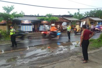 Pohon Tumbang di Ponorogo Timpa Pengendara Motor