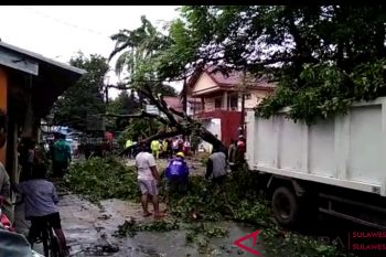 Pohon tumbang dan banjir landa Makassar