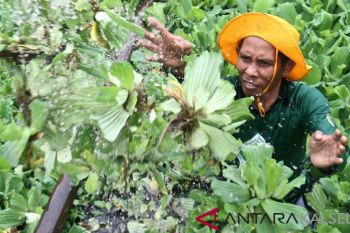 BPJS Ketenagakerjaan serahkan manfaat kepada ahli waris peserta