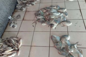Nelayan Cilacap nekat melaut meski cuaca buruk