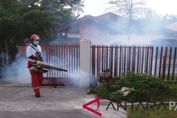 Dinkes ajak warga Biak terapkan 3M Plus mencegah demam berdarah