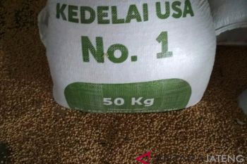 Musim hujan, permintaan kedelai impor turun